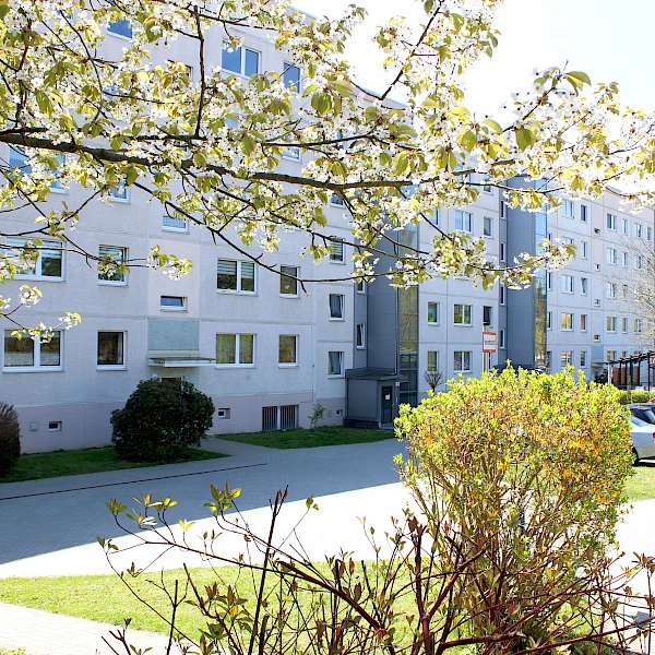 Hell sanierte 3-Raum-Wohnung mit geräumiger Loggia sucht neue Mieter