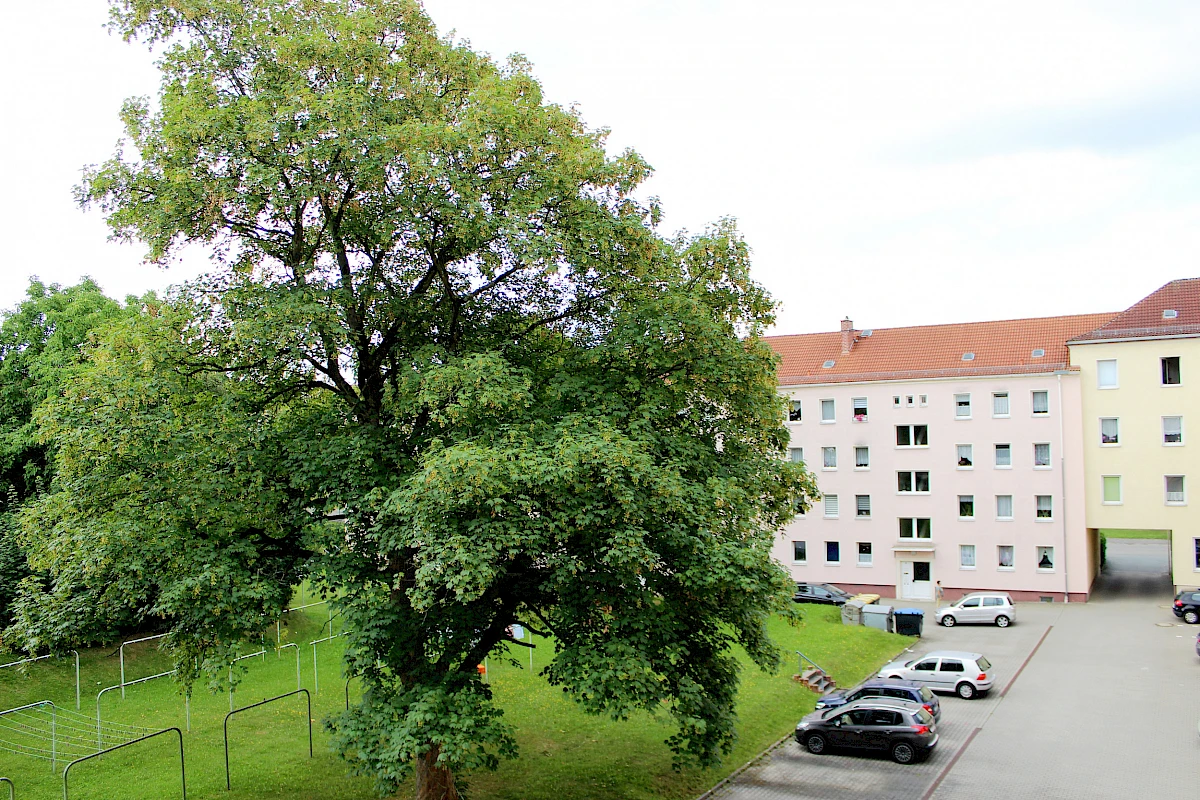 Ausblick Wohnzimmer