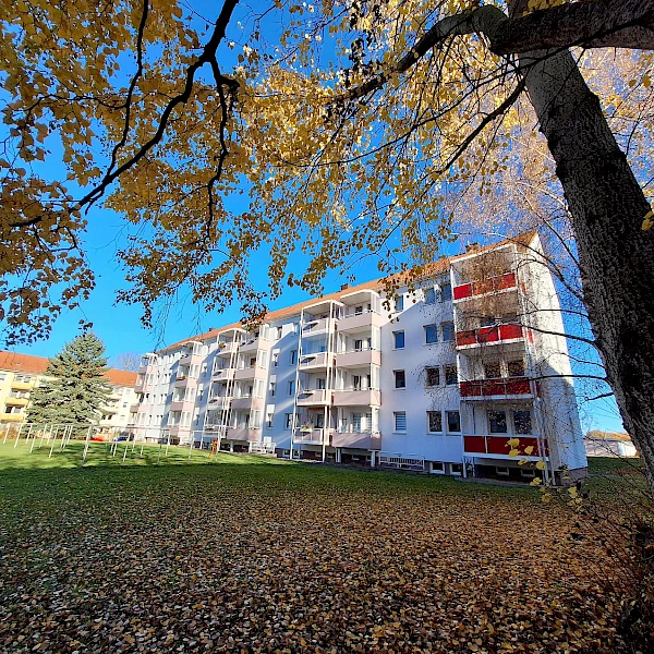 Euer Lichtblick für einen Sofortbezug! Sanierte 3-Raum-Wohnung mit Balkon in grüner Stadtrandlage