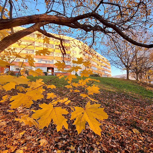 Was für ein Ausblick! Sanierte 2-Raum-Wohnung mit verglastem Balkon u. Badewanne in guter Wohnlage
