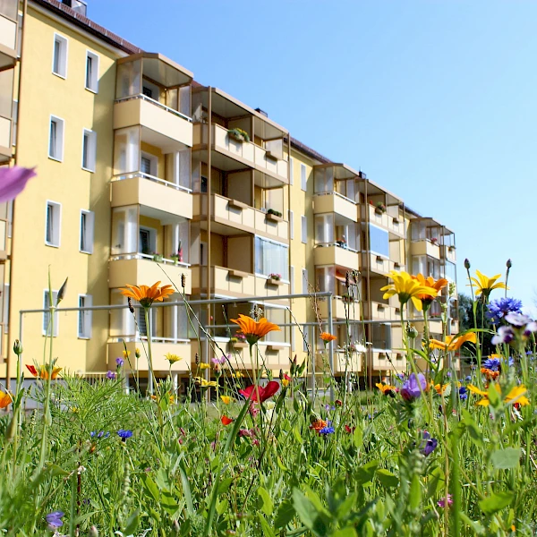 Deine ersten 4 Wände - ideal für Azubis! Gemütliche 2-Raum-Wohnunng mit Balkon ab Juli 2026